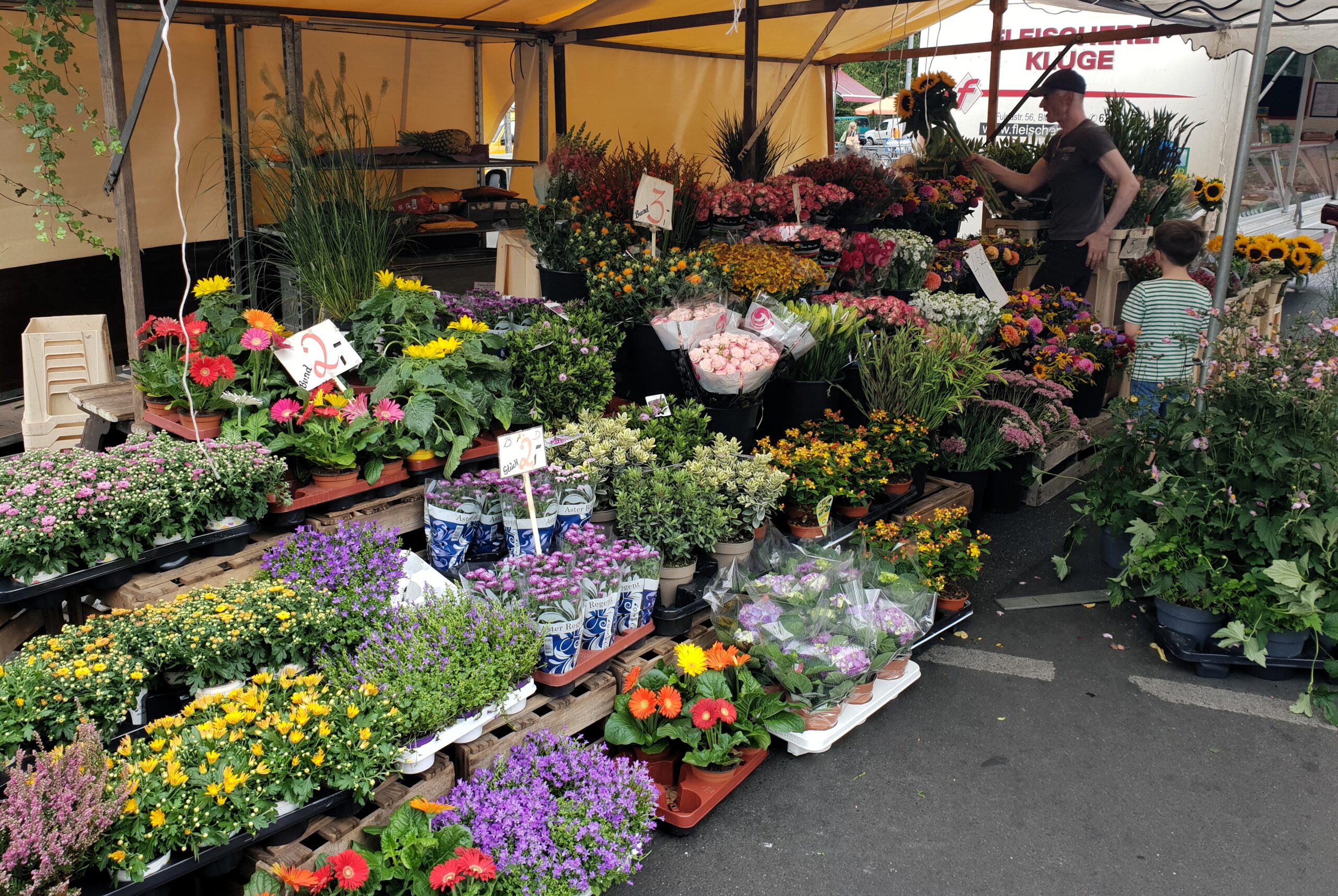 Blumen Weyer